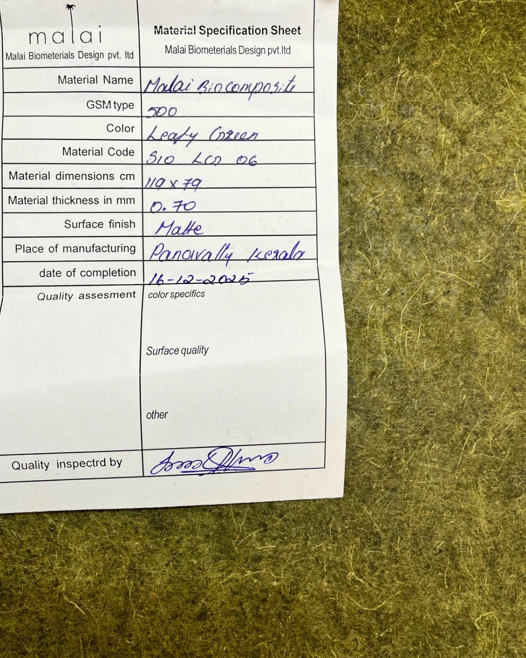 Studio Batch Leafy Green combo