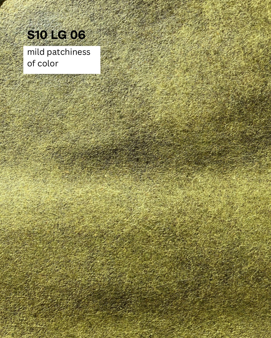 Studio Batch Leafy Green combo