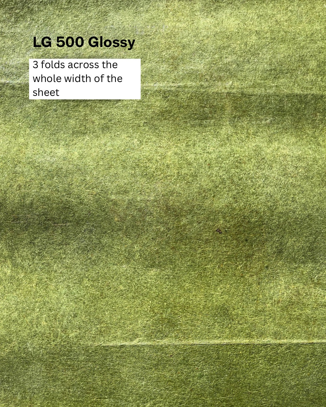 Studio Batch Leafy Green combo