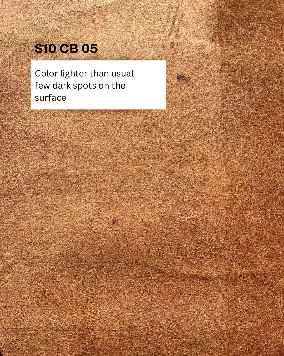 Studio Batch Cutch Brown