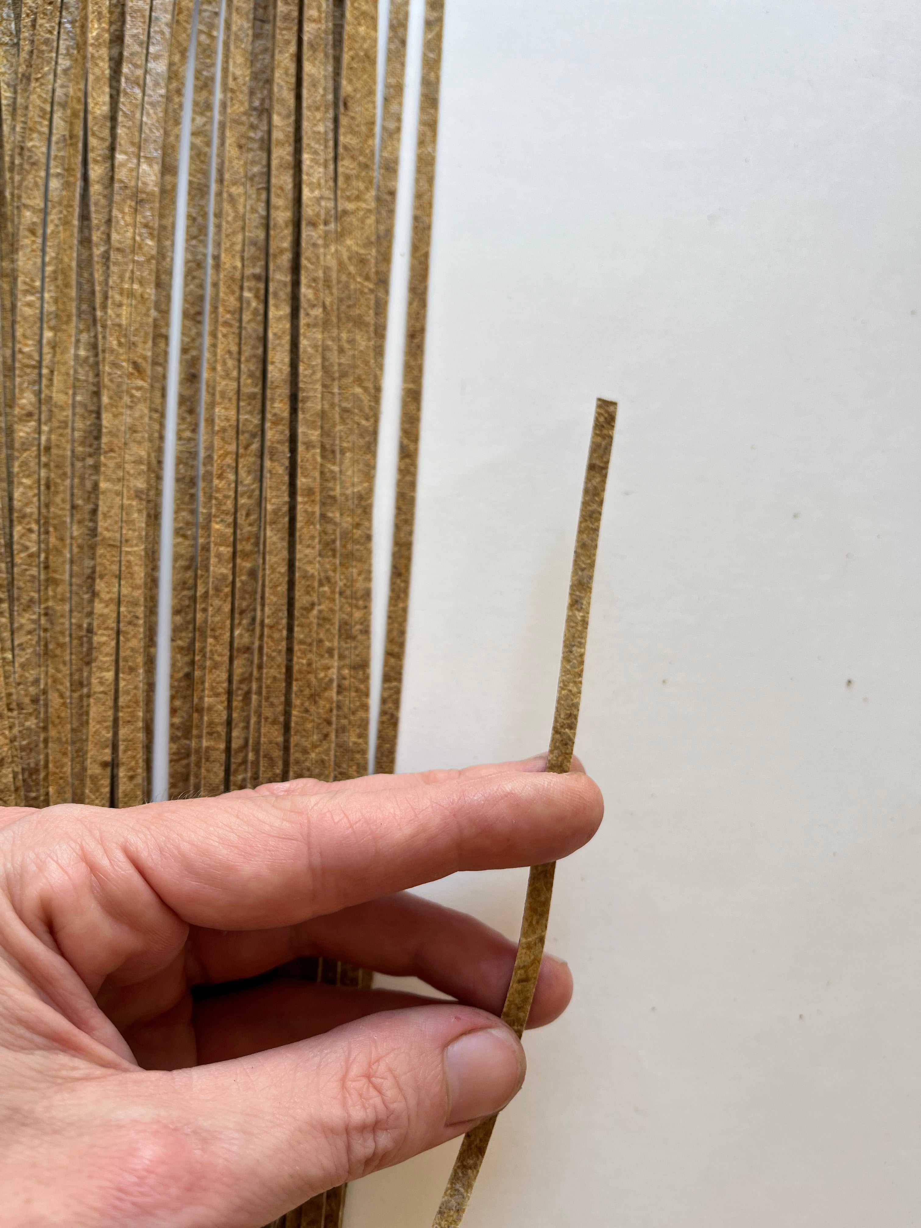 Malai Biocomposite strips ( pack of 50 )